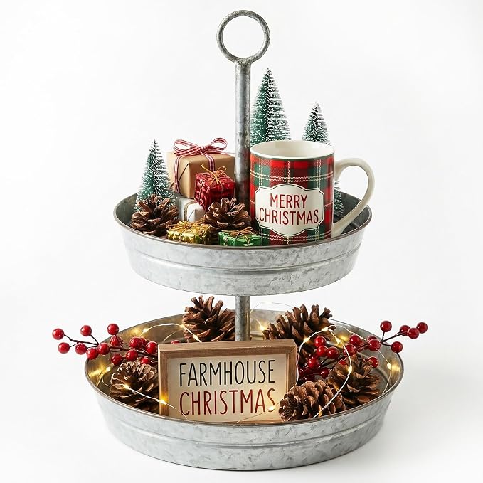 FLORA Farmhouse 2 Tiered Galvanized Serving Tray Stand with Carry Handle, Rustic Metal Display Tray for Cupcake Dessert Fruit, Silver